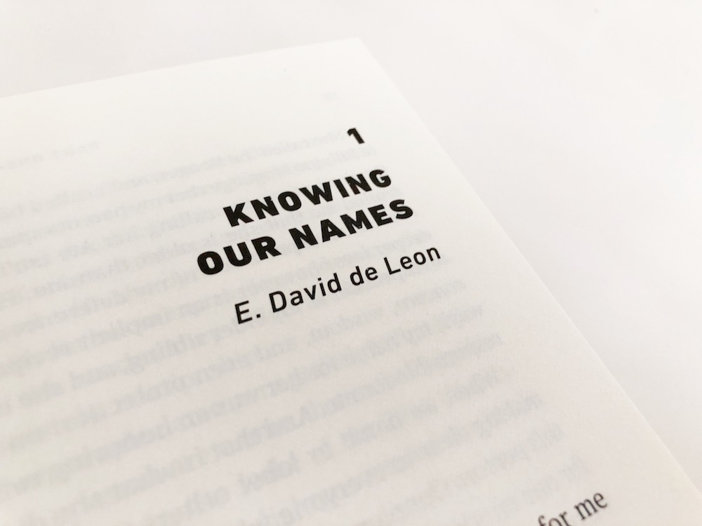 Lifestyle photo of the book Learning Our Names