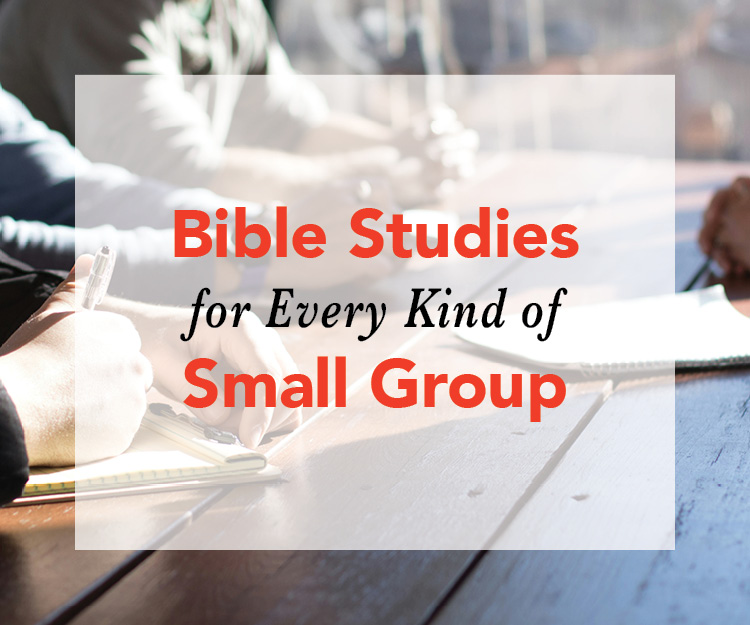 Bible Studies for Every Kind of Small Group 