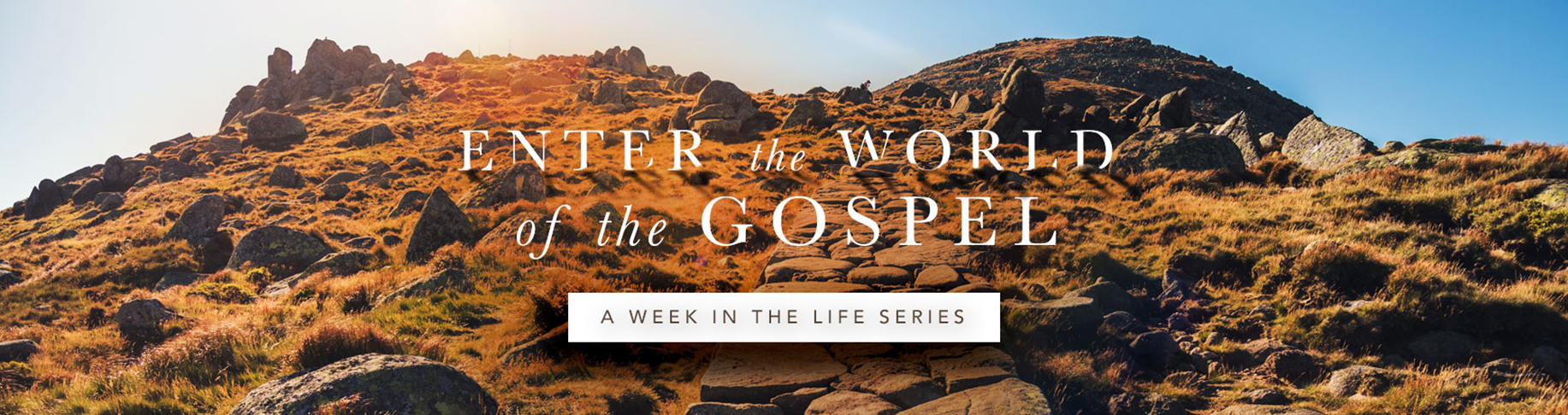 A Week in the Life Series