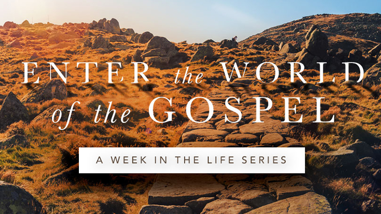 A Week in the Life Series