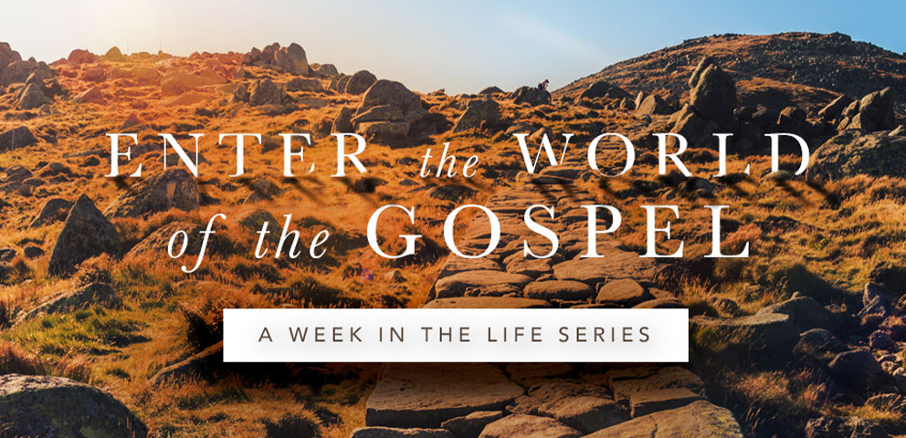 A Week in the Life Series