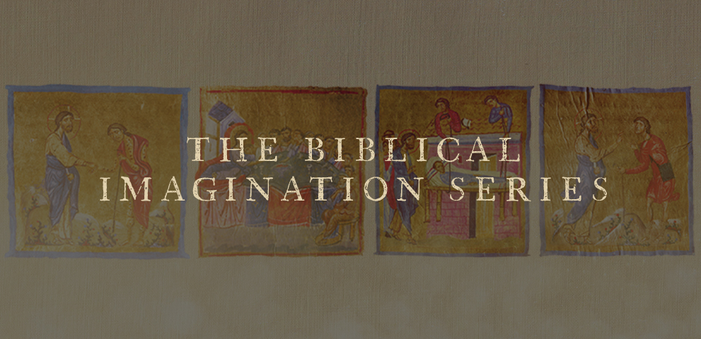 The Biblical Imagination Series