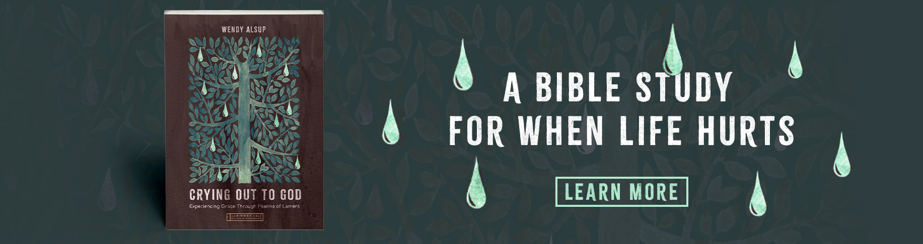 A Bible Study for When Life Hurts - Learn More
