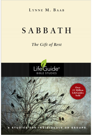 Sabbath: The Gift of Rest, By Lynne M. Baab