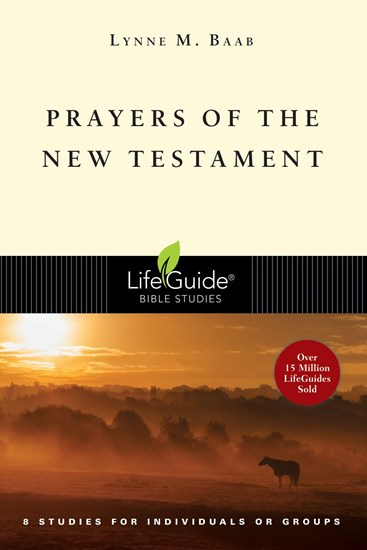Prayers of the New Testament, By Lynne M. Baab
